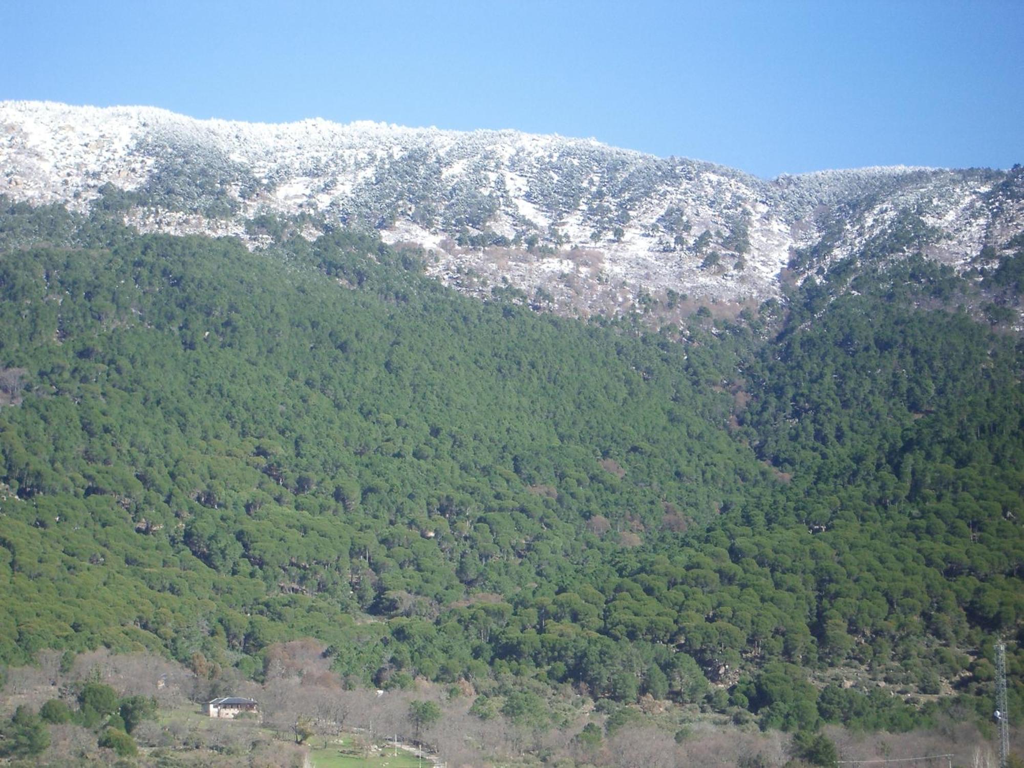 Edificio Reyes Διαμέρισμα La Adrada Εξωτερικό φωτογραφία
